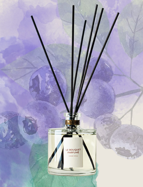 Bouquet parfumé Ribes Nigrum - Odore Scola