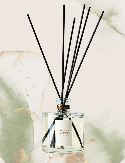 Bouquet parfumé Eau du jardin des plantes - Odore Scola