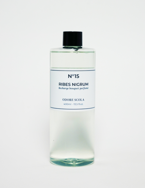 Recharge Bouquet parfumé Ribes Nigrum - Odore Scola